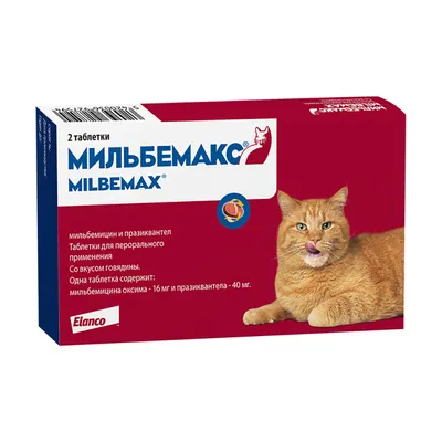 Купить Празител Таблетки от гельминтов для котят и щенков - доставка, цена  и наличие в интернет-магазине и аптеках Доктор Вет