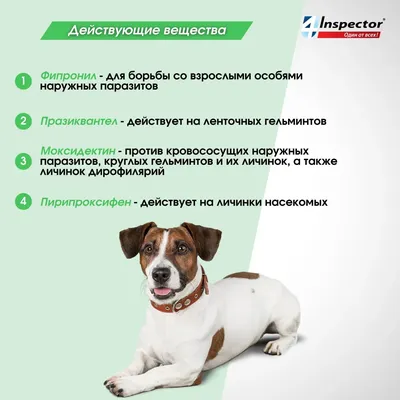 Дронтал Плюс для Собак - Купить с Доставкой по Москве