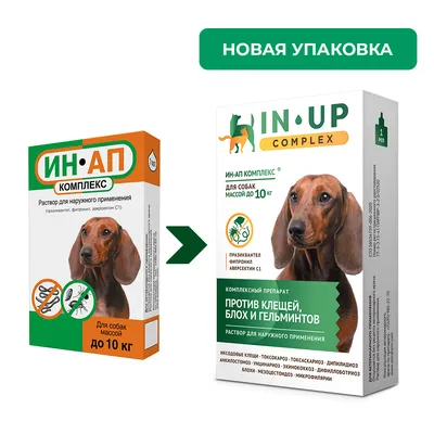 Купить Милпразон таблетки от глистов для собак весом до 5 кг (цена за 1  таблетку) - доставка, цена и наличие в интернет-магазине и аптеках Доктор  Вет