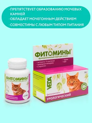 Отит у кошек: симптомы и лечение в домашних условиях | Сайт «Мурло»