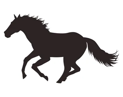 Люди, рожденные в год лошади, отличаются яркими качествами и стремятся к  лидерству» — создано в Шедевруме
