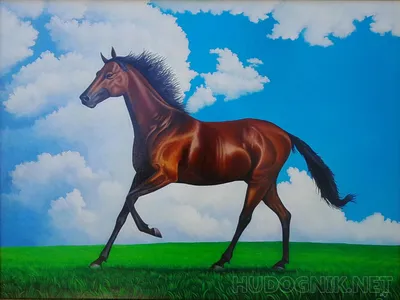 Новый Год китайского зодиака лошади счастливый, акварель крася минимальной  Иллюстрация штока - иллюстрации насчитывающей график, целостно: 90378012
