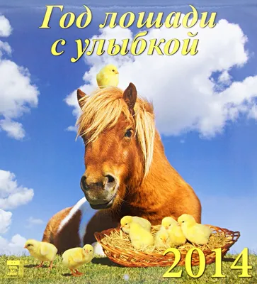Могилевские лошади покорили александрийскую публику на республиканском  празднике \"Купалье\"