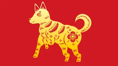 Год Собаки: какие года, когда будет, описание, характеристика знака по  китайскому (восточному) гороскопу