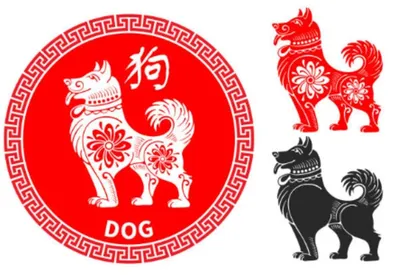 Год Собаки: характеристика знака по восточному календарю