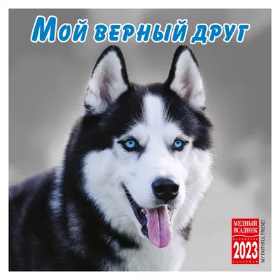 2018 год — год Собаки! :: Петрозаводский государственный университет