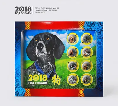 Восточный гороскоп 2022 для Собаки