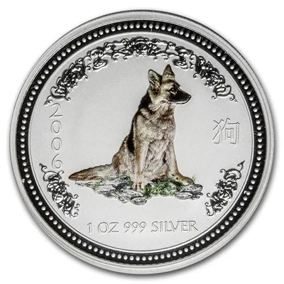 Год собаки и 12 секретов благополучия | Габо Лилия - купить с доставкой по  выгодным ценам в интернет-магазине OZON (266422858)