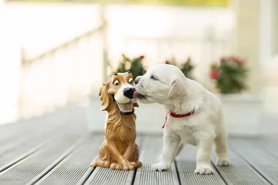 Голден-Ретривер — идеальная семейная собака» — создано в Шедевруме