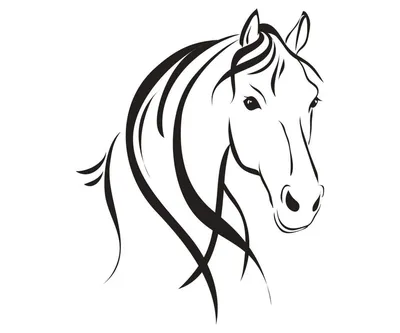 Силуэт под роспись Голова лошади zag-zn-horse-5 купить в интернет-магазине  krapivasu