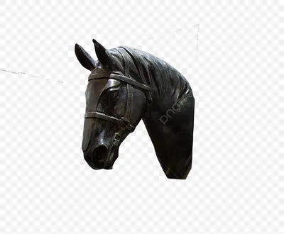 Теннеси Прогулка Лошадь Американская четверть Лошади Маска головы лошади, голова  лошади, лошадь, белый, лицо png | PNGWing