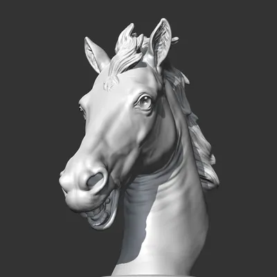 голова лошади с полумерцанием и глазом с ресницами Стоковое Фото -  изображение насчитывающей ангстрома, разведенными: 277766640
