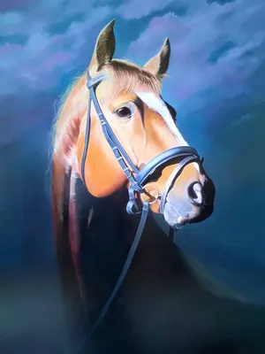 Голова лошади внутри анфас стоковое изображение. изображение насчитывающей  одно - 112444959