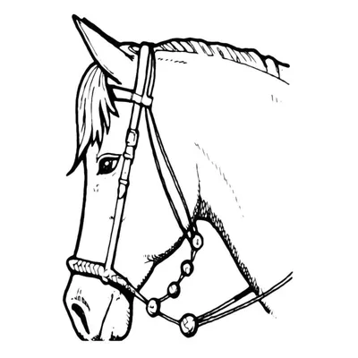 Голова лошади стоковое фото. изображение насчитывающей бобра - 37202094