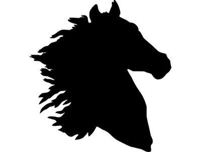 Лошадь Голова Лошади - Бесплатное фото на Pixabay - Pixabay