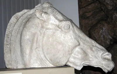 Голова лошади (3) из дерева — деревянное изделие в качестве необычного  декора
