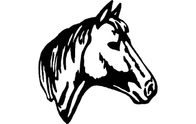 Силуэт головы лошади » maket.LaserBiz.ru - Макеты для лазерной резки