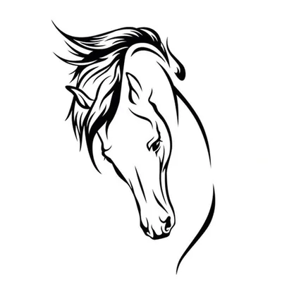 Постер Черно-Белый Голова Лошади купить в интернет-магазине Postermarkt