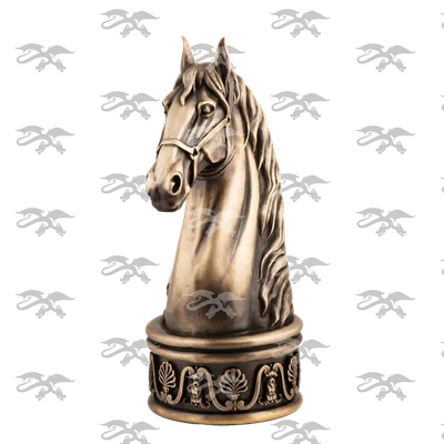 Голова лошади с сериями мух Стоковое Фото - изображение насчитывающей лошади,  баррикад: 117163740