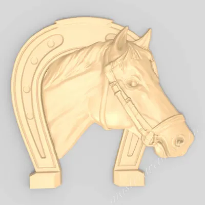 Крупным планом фото головы лошади · Бесплатные стоковые фото