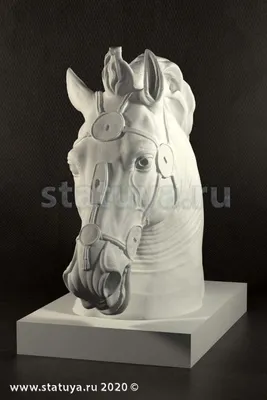 Голова Лошади 3 — стоковые фотографии и другие картинки Лошадь - Лошадь,  Голова животного, Грива - iStock