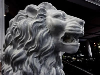 Подвесной декор \"Голова льва\" бронза, 23х35х52см МИКС - купить в Москве,  цены на Мегамаркет