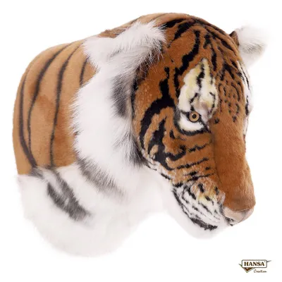 Изолированная голова тигра стоковое фото. изображение насчитывающей сторона  - 36019408