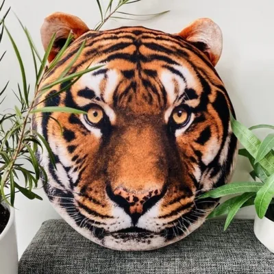 голова тигра рука рисовать и красить цвет на белом фоне вектор PNG ,  Опасность, хищник, тигр PNG картинки и пнг рисунок для бесплатной загрузки