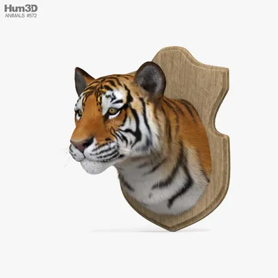 Картина на холсте \"Тигр, голова тигра, животное\" 240x90 см. с алюминиевыми  подвесами, в тубусе - купить по низкой цене в интернет-магазине OZON  (564704438)