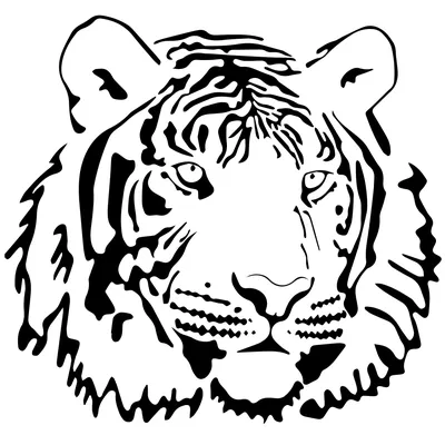 голова тигра, тигр, голова, животное png | PNGWing