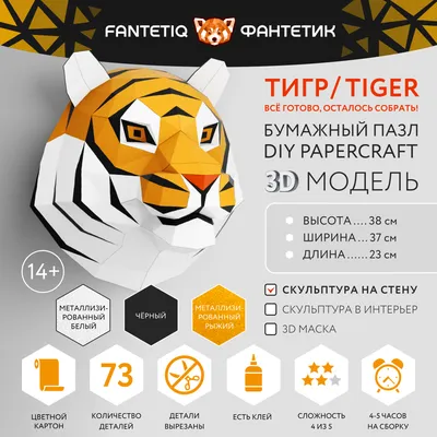 голова тигра оранжевая иллюстрация PNG , летний шлем, Международный день  тигра, Всемирный день тигра PNG рисунок для бесплатной загрузки