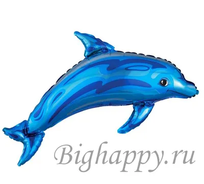 Дельфин голубой 🐠: фото, видео, содержание, разведение, купить