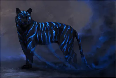 Тигр в голубых оттенках Раскраска картина по номерам на холсте — купить в  интернет-магазине по низкой цене на Яндекс Маркете
