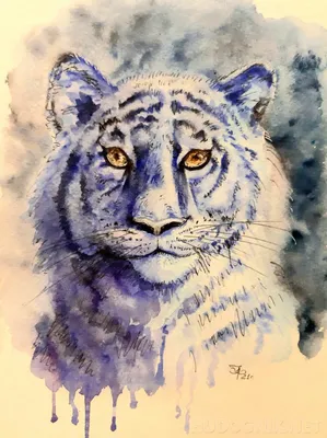 Голубой Тигр Новогодняя Композиция 2022 Рисунки Милого Рождественского  Рисунка Животным Стоковая иллюстрация ©AnnaSukhova #527132846