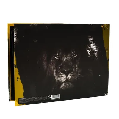 Картина интерьерная на стену ДоброДаров \"Гордый лев\" 60х100 см Ф0515 -  купить по низкой цене в интернет-магазине OZON (1235625192)