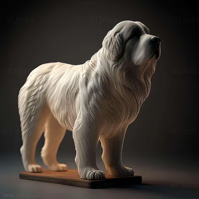Пиренейская горная собака - DogZilla