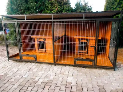 Гостиница для собак в Витебске с кормлением и выгулом