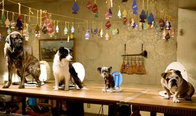 Отель для собак (2009) — Фильм.ру