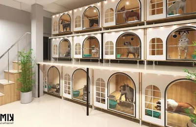 Перспективная гостиница для домашних животных в СПб | Купить бизнес за 850  000 ₽