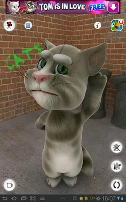 Говорящий кот Том Free (apk) – Скачать для Android