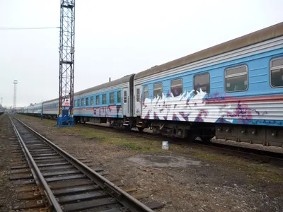 Подростков будут судить за граффити на поезде – Москва 24, 29.01.2013