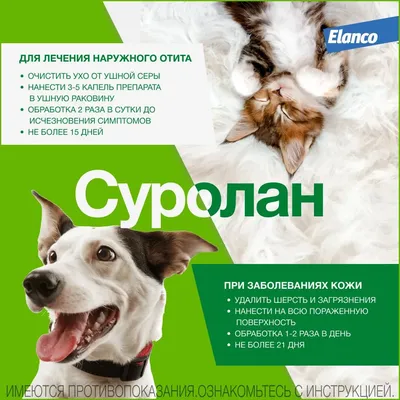 Причины появления коричневых выделений из ушей у собаки и методы лечения |  Лапа помощи | Дзен