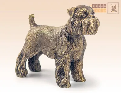 Брюссельский грифон собака с …» — создано в Шедевруме