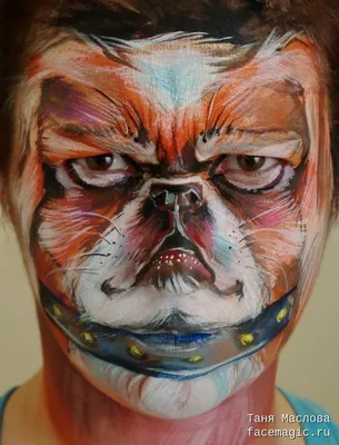 Собака пекинес : пример аквагрима : Таня Маслова | Body art painting, Face  painting, Painting