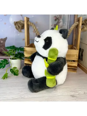 Черно-белая грустная панда в стиле панк, красочный домашний декор для стен,  холст, картина, HD печать, картина на холсте для гостиной, без рамки –  лучшие товары в онлайн-магазине Джум Гик