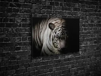 Картинка: Грустный тигр - скачать в формате jpg | Грустный тигр Фото  №519325 скачать