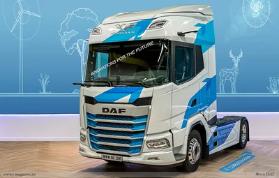 Продажа DAF XF 95.430 Тентованный грузовик из Голландии - Truck1 ID 6940076