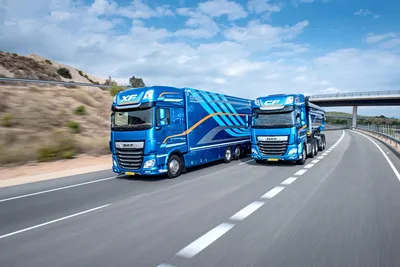 Экономия топлива и больше места – узнайте, что еще могут предложить новые грузовики  DAF | trans.info
