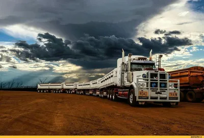 Грузовой рынок Австралии: новая Scania и другие — Авторевю