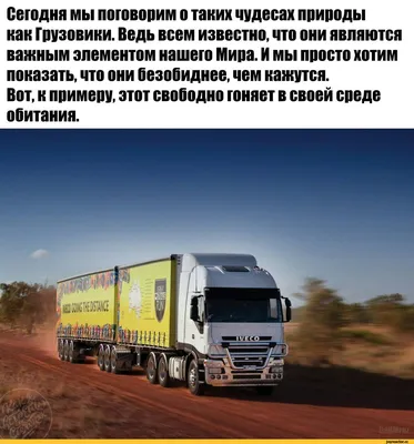 Кидайские грузовики — Лучшие в мире!)) — Сообщество «Грузовики и Автобусы»  на DRIVE2